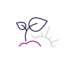 Environment Icon