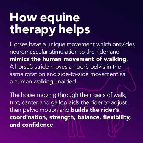 Equine Therapy Benefits of equine therapy