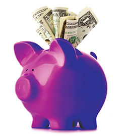 Careers - ERP - Piggy Bank purple piggy bank
