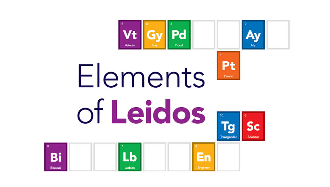 Elements of Leidos