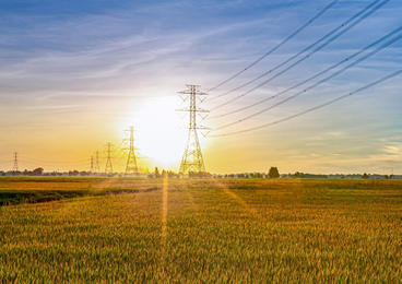 Electricity pylons in sunny field