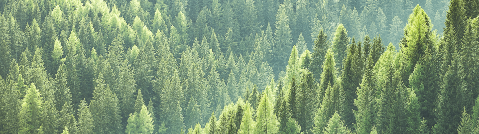 responsibility and sustainability nature