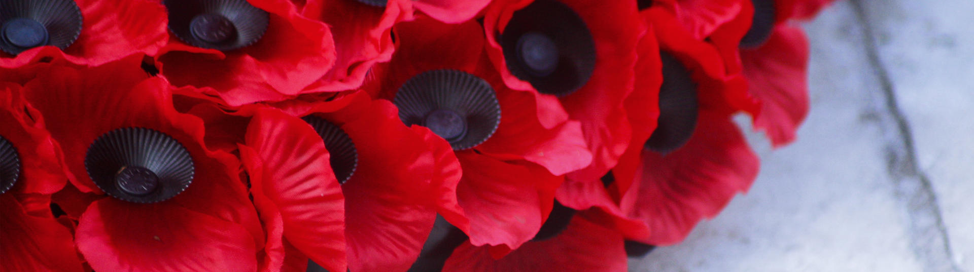 Poppies on the Cenotaph