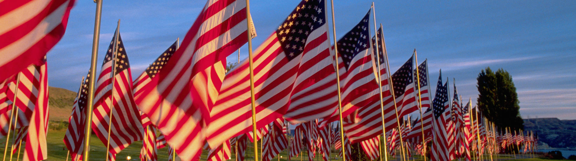 Row of US flags flying in the wind