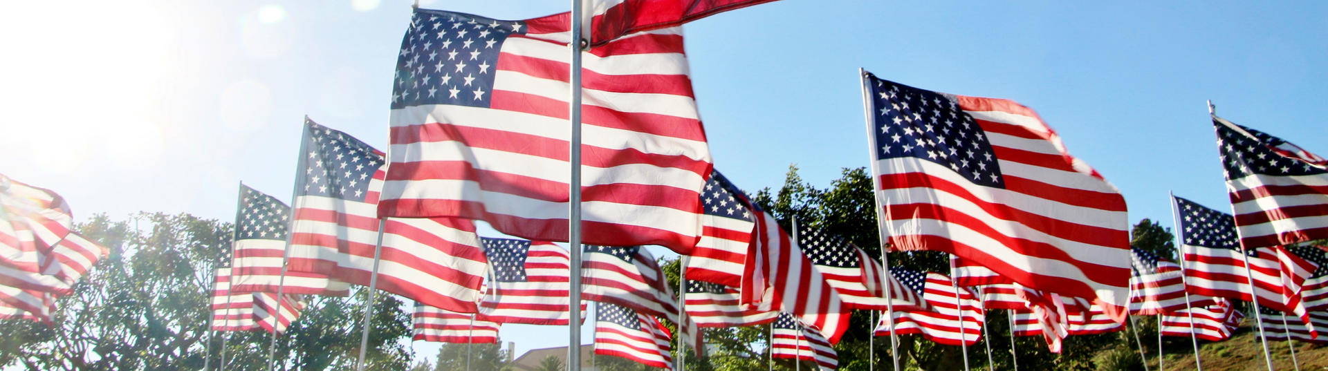 multiple American flags waving