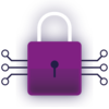 padlock cyber security