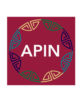 Asian-Pacific Islander Network logo