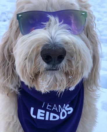 Leidos Innovative Solutions Through Information Technology Engineering And Science