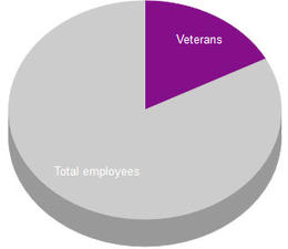 pie chart displaying veteran employee count