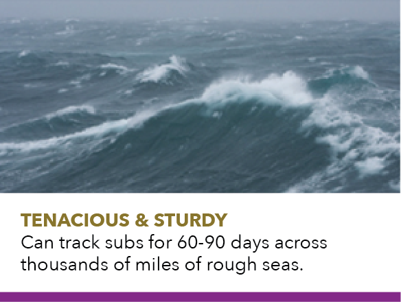 Tenacious & sturdy, can track subs for 60-90 days