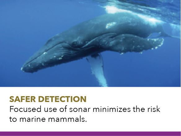 safer detection, minimize the risk to marine mammals