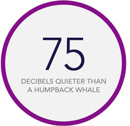 75 decibels quieter than a humpback whale