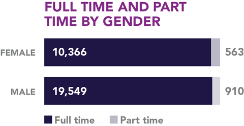 Employment Type by Gender Employment type by gender graphic