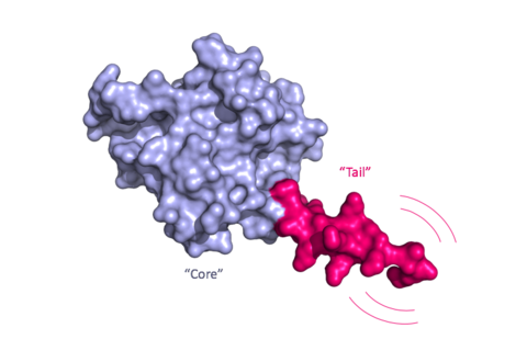 KRAS protein KRAS protein rendering