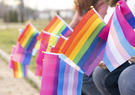 pride flags 