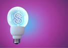 light bulb with dollar sign