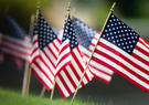 American flags