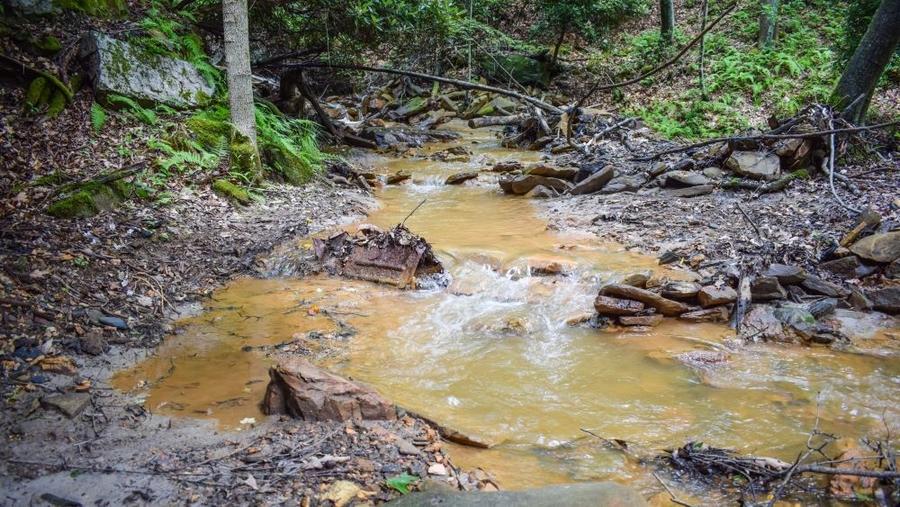 Acid mine drainage from a coal mine has contaminated this stream in Pennsylvania.