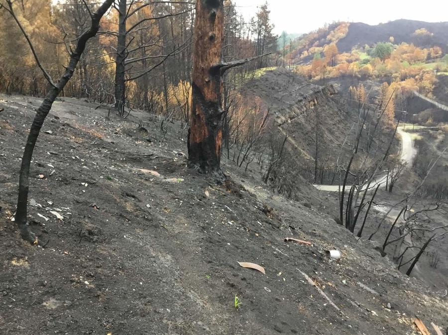 dangerous slopes in Northern California after wildfires