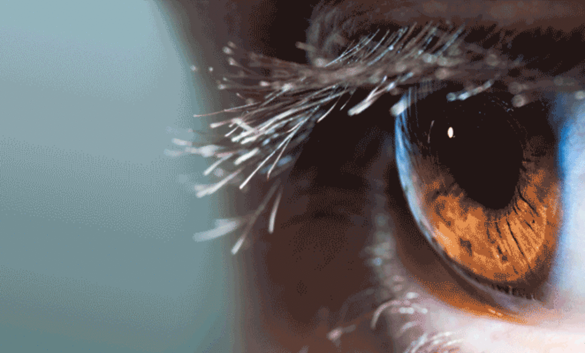 Https Encrypted Tbn0 Gstatic Com Images Q Tbn 3aand9gcqb4x Hjgjszpdzfwzqmo2u77qbgplhjtbga Usqp Cau