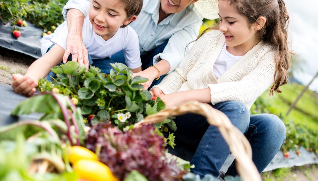 Grandmother and granchildren gardening