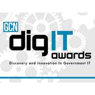 2017 GCN digIT Awards winner