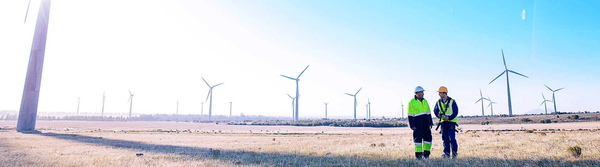 Two men standing in a field with turbines behind them