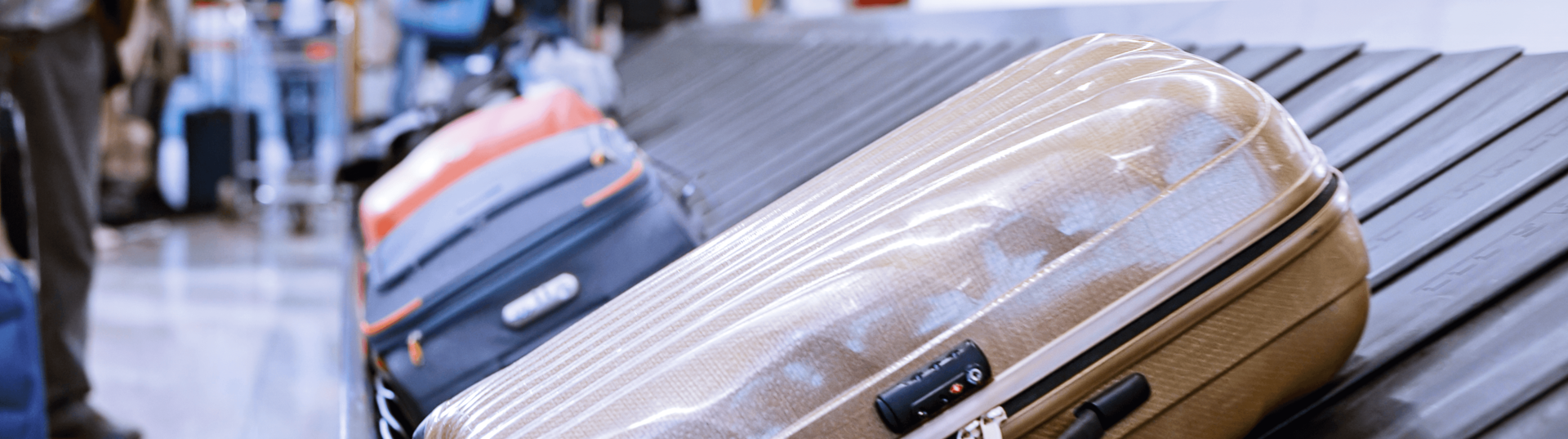 Checked Baggage | Leidos