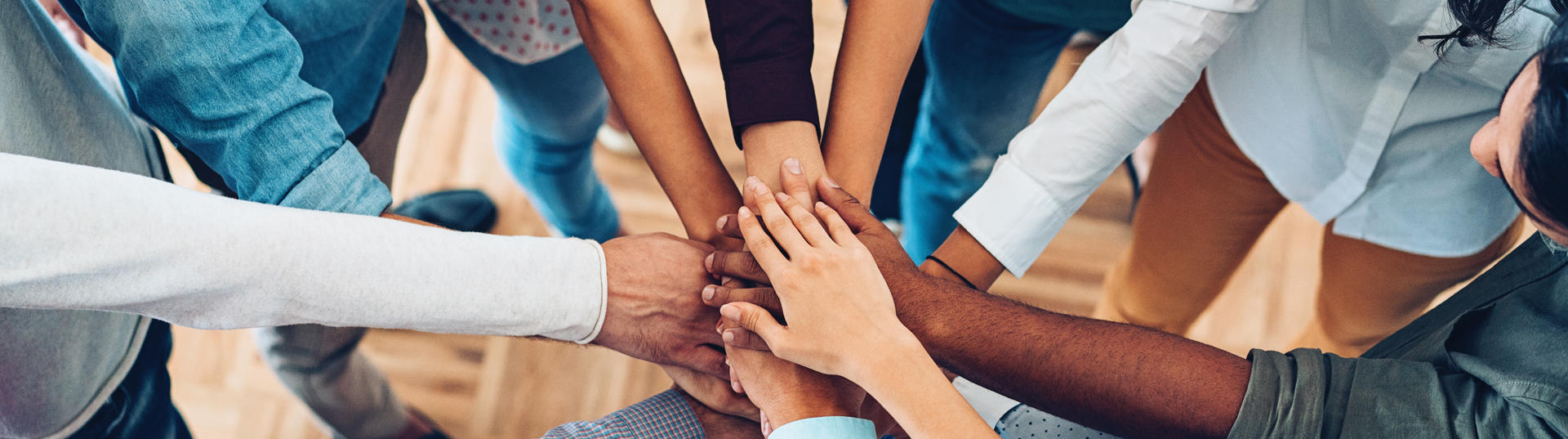 Group shot of professional's hands