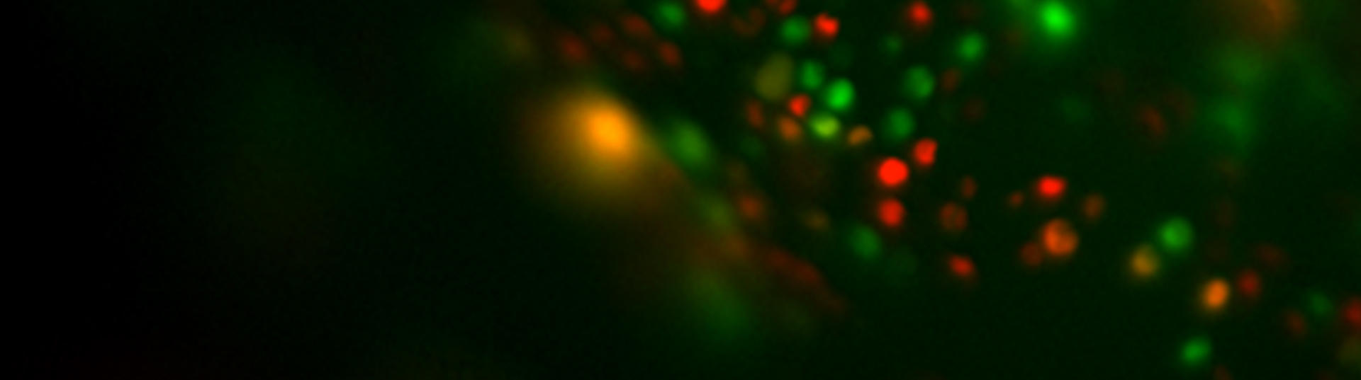colorful particles 