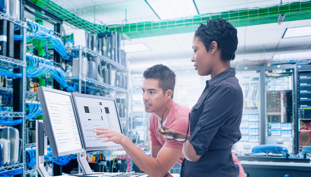 Technology partners collaborating on an IT project