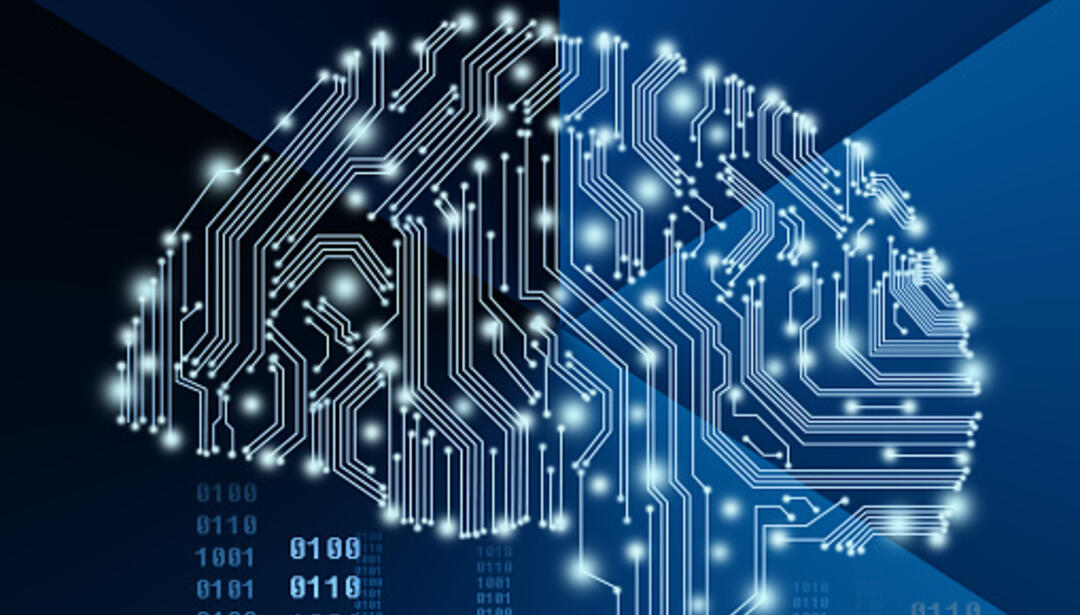 brain shape with connections