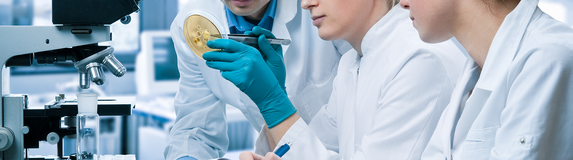 Life Sciences