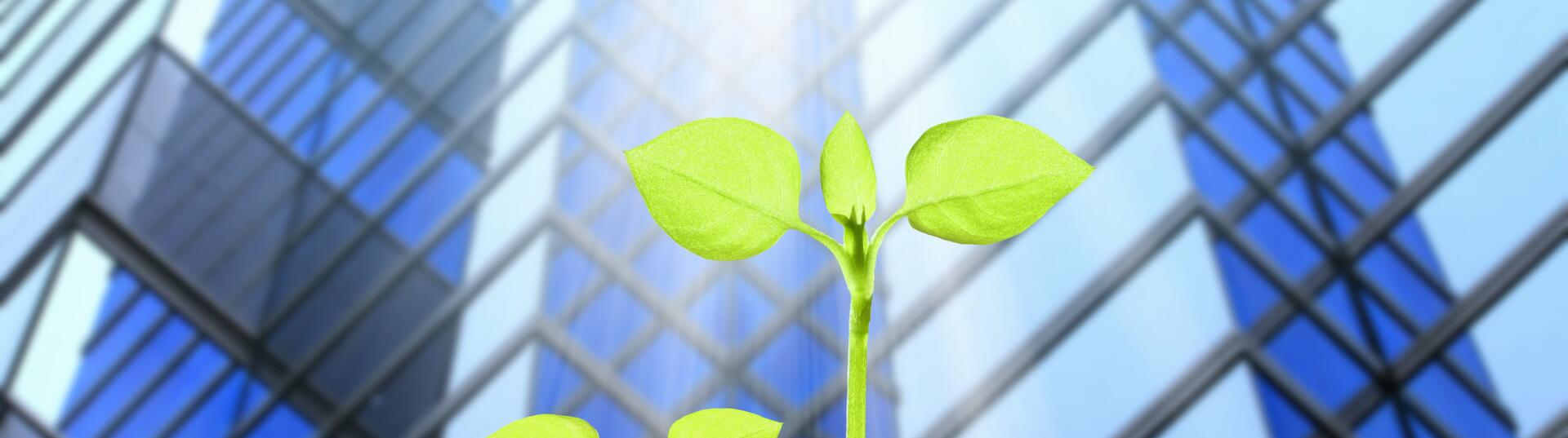 Energy Efficiency