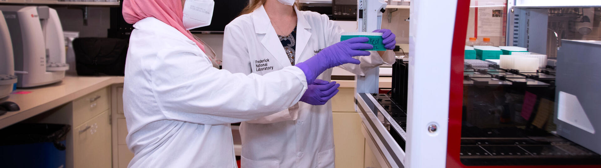 Scientists working with samples