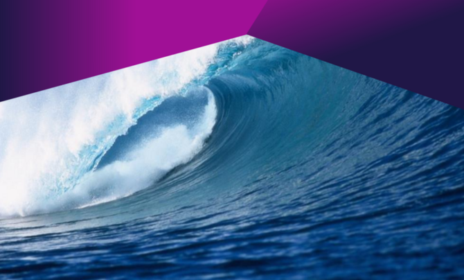 Strategic Asset Management