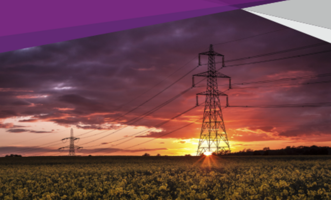 Foundation Comparison