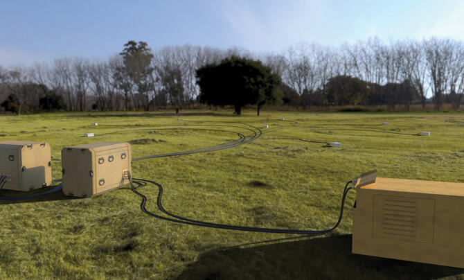 Bloodhound in the field