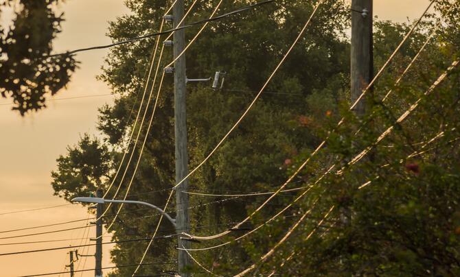 Distribution lines