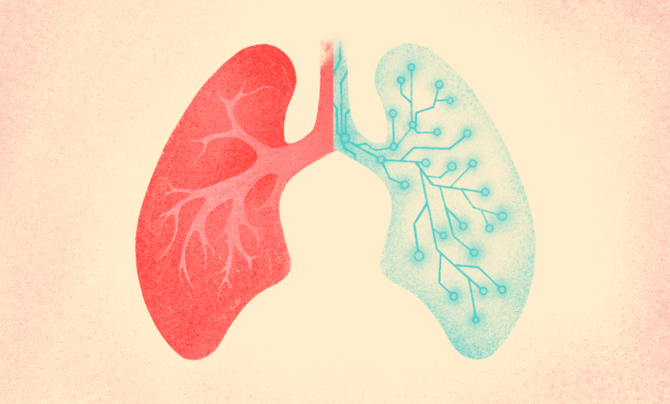 An illustration of human lungs. One half is real, the other half is a digital twin.
