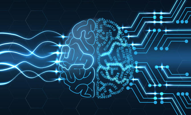 A digital picture of a brain