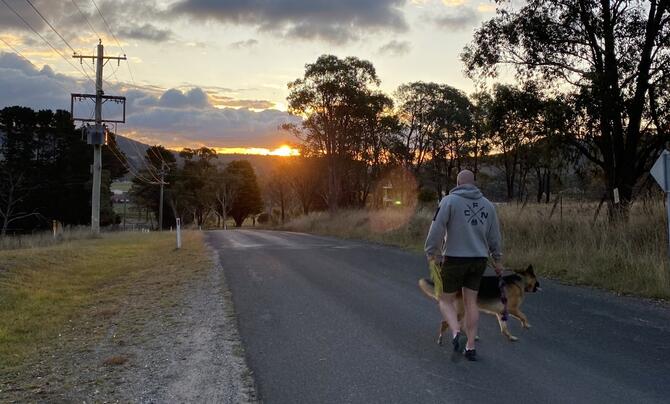 A man and a dog walking towards the sunset
