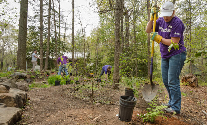 three people planting trees