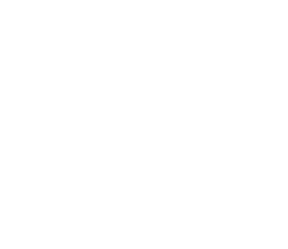 airplane icon