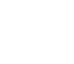 sloth