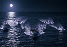 A fleet of boats moving in formation across the ocean at night under a bright full moon, with waves reflecting the moonlight.