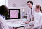 Three laboratory researchers analyze a magnified image of blood cells displayed on a computer monitor.