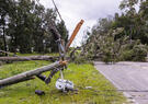 Power lines down after a storm