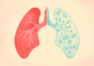 An illustration of human lungs. One half is real, the other half is a digital twin.