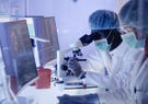 Scientists examines models in front of a computer 